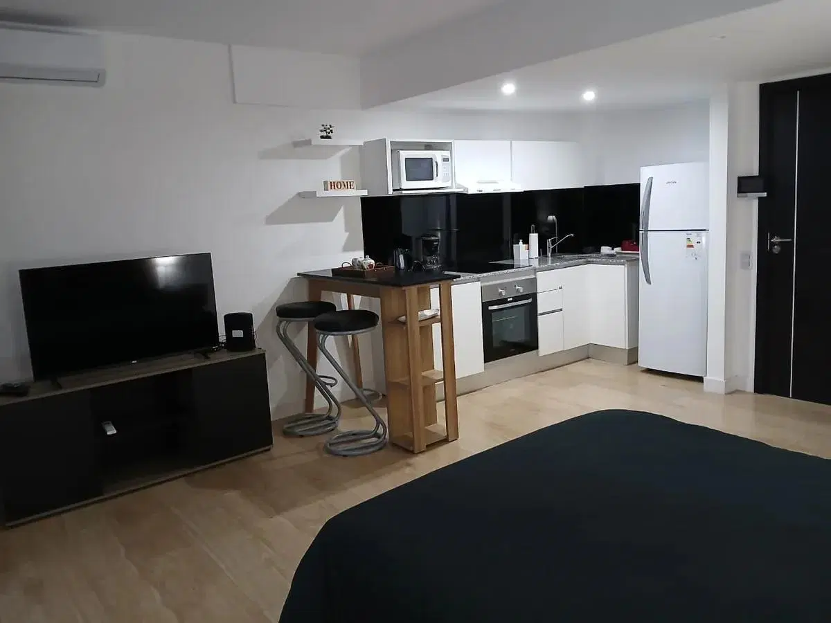 Departamento Monoambiente en alquiler - 1 Baño - Mar del Plata 4