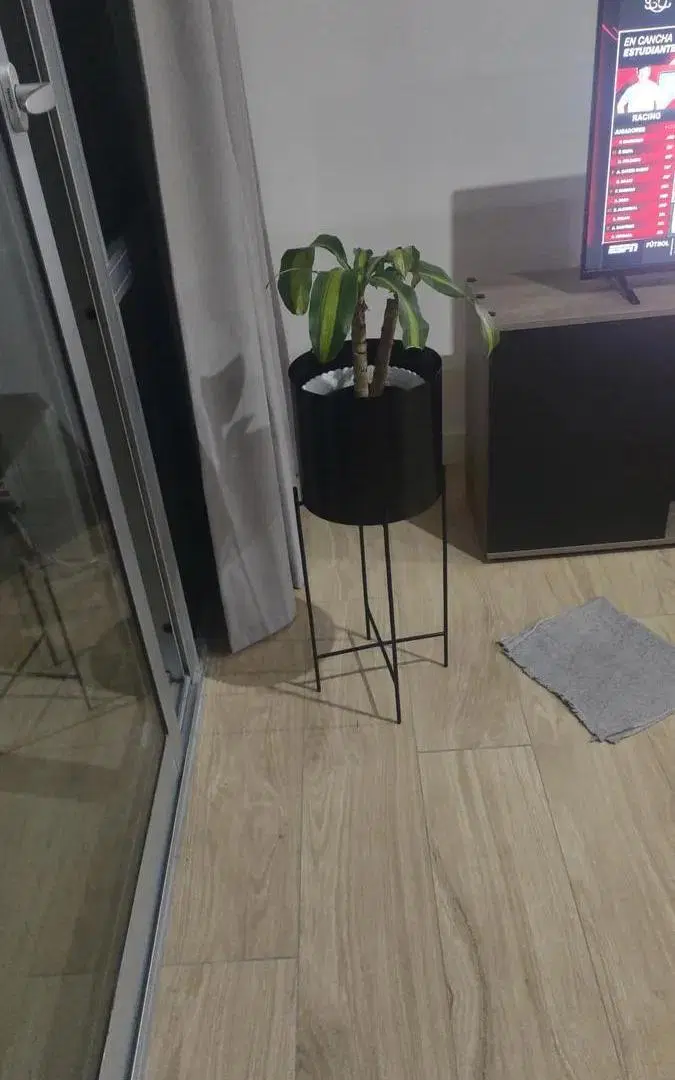 Departamento Monoambiente en alquiler - 1 Baño - Mar del Plata 2