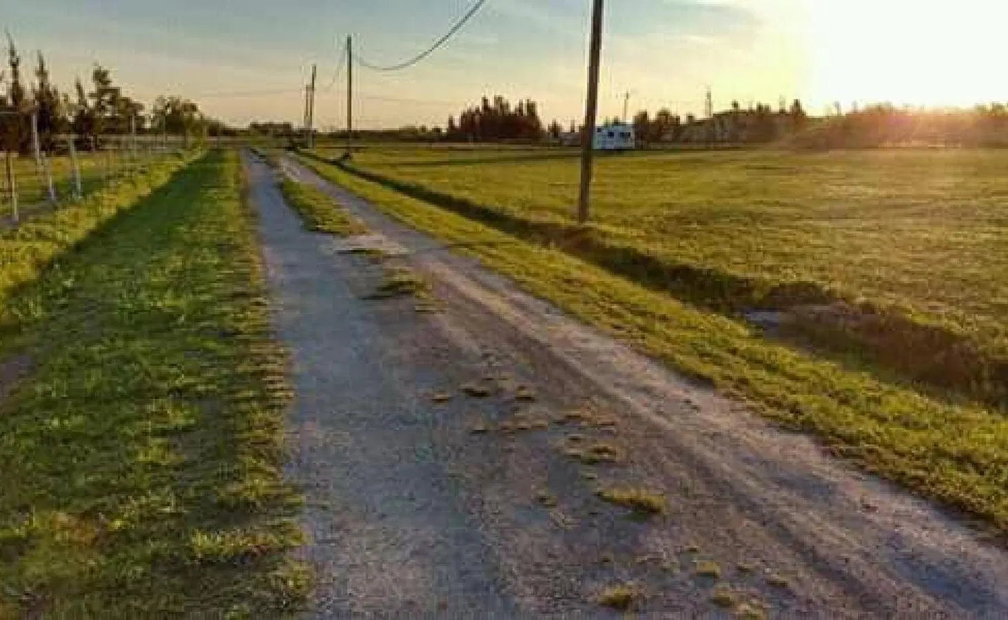 Terrenos en venta - 1.000Mts2 - Arana 2