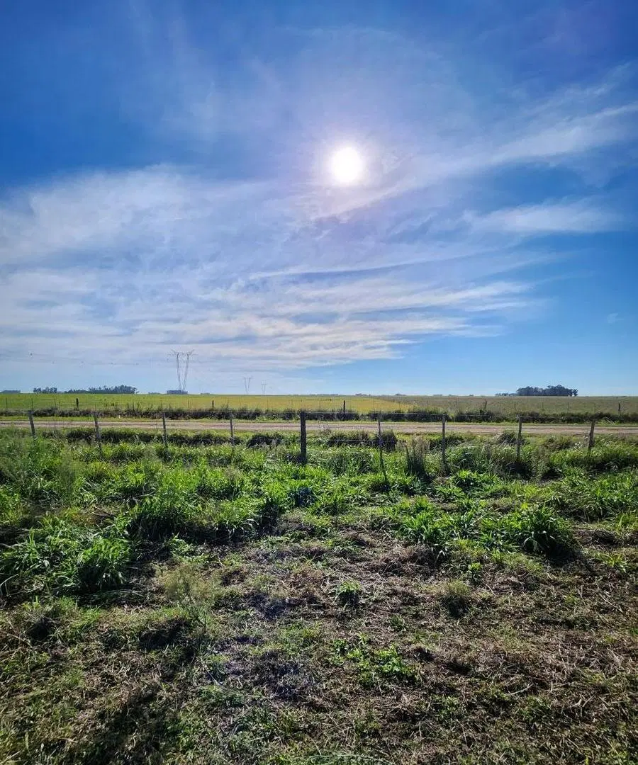 Campo en venta - 3000000mts2 - Laprida 5