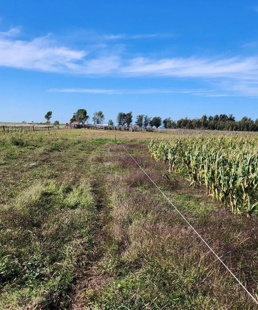Campo en venta - 3000000mts2 - Laprida 4