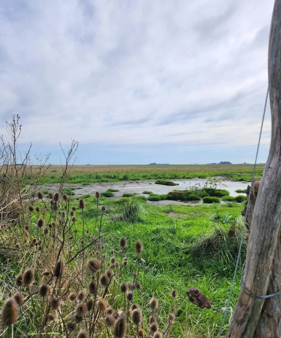 Campo en venta - 3000000mts2 - Laprida 8