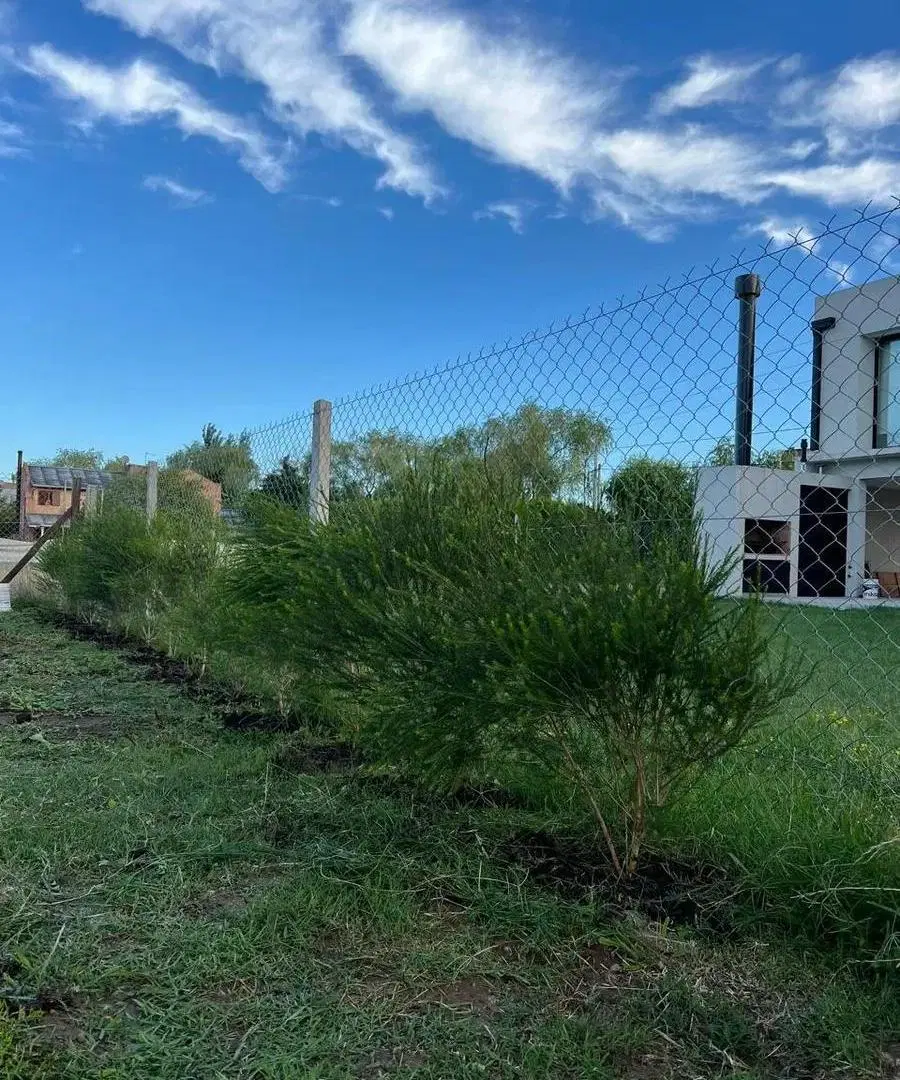 Terreno en venta - 345mts2 - La Plata 3