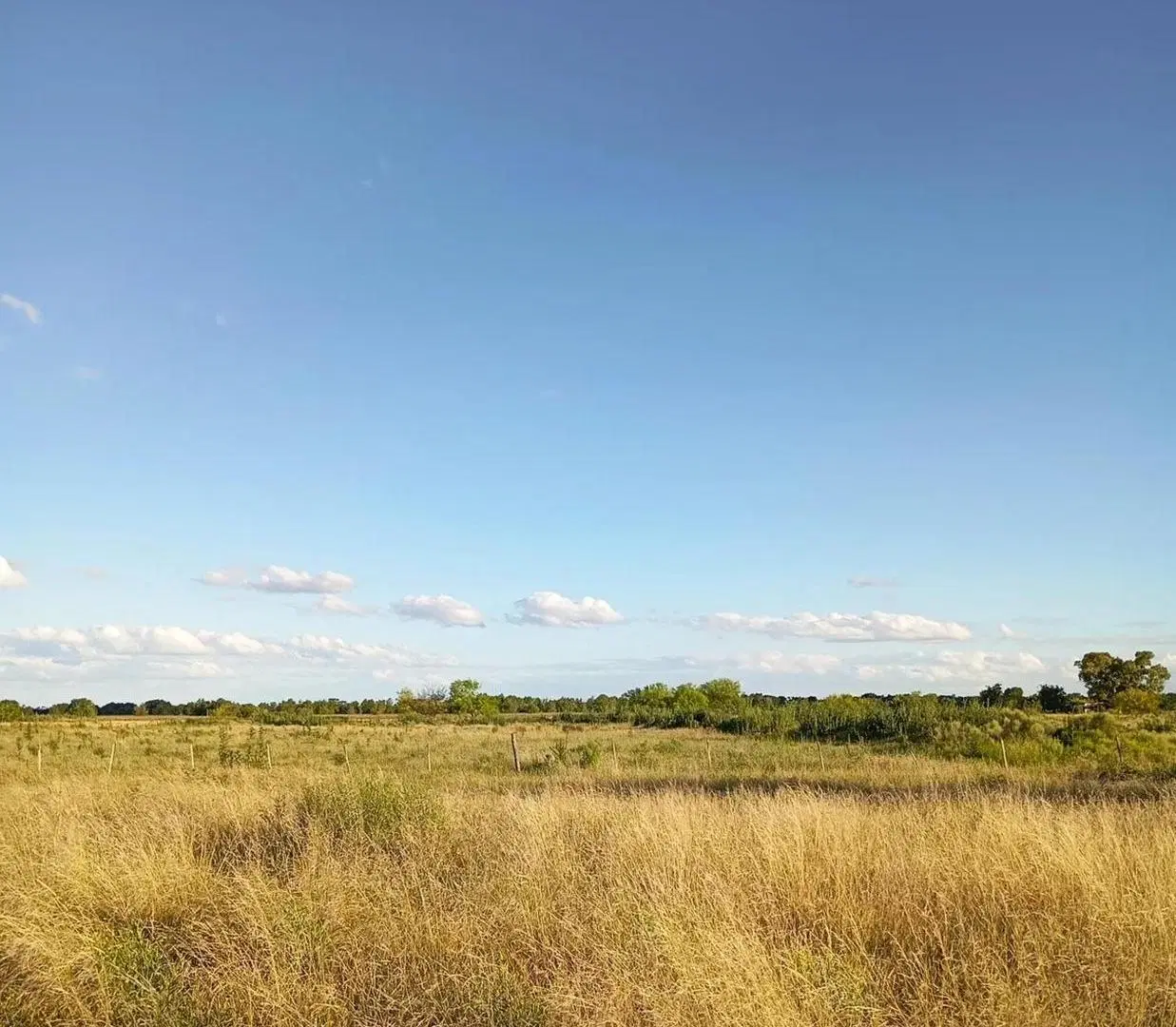 Terreno en venta - 900Mts2 - La Plata 2