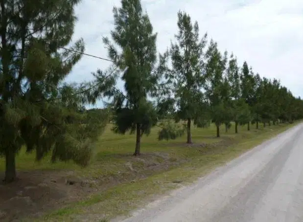 Terreno en venta - 2100mts2 - Campos de Roca II, Coronel Brandsen 5