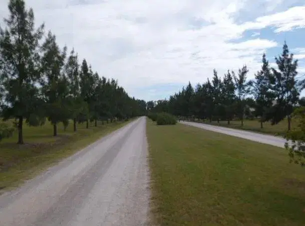 Terreno en venta - 2100mts2 - Campos de Roca II, Coronel Brandsen 3