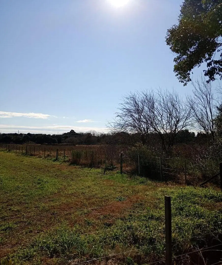 Terreno en venta - 13.63 x 33.73mts - 432 mts2 - Arturo Seguí 8