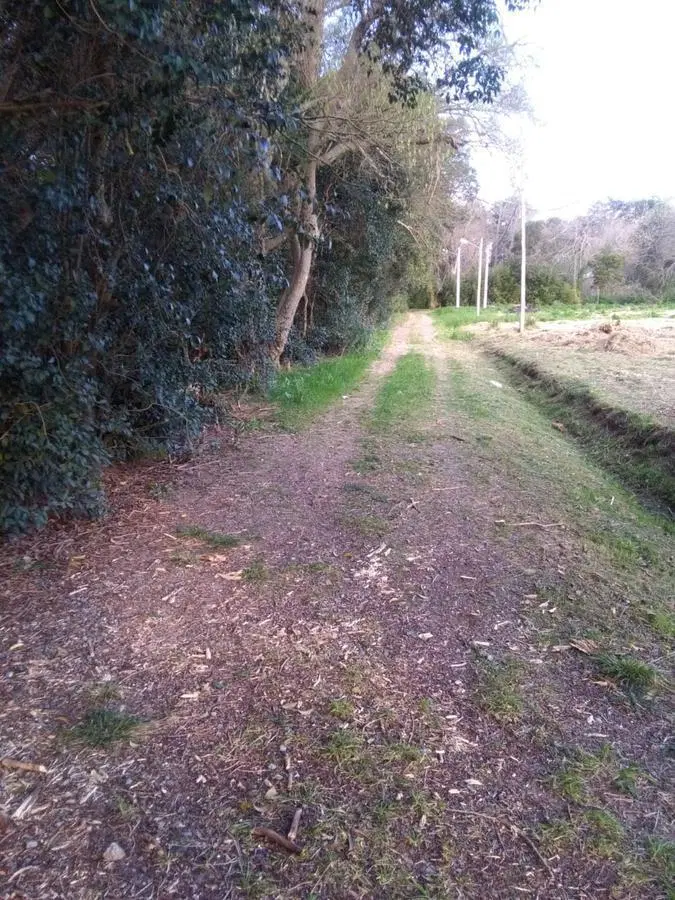 Terreno en venta - 13.63 x 33.73mts - 432 mts2 - Arturo Seguí 4
