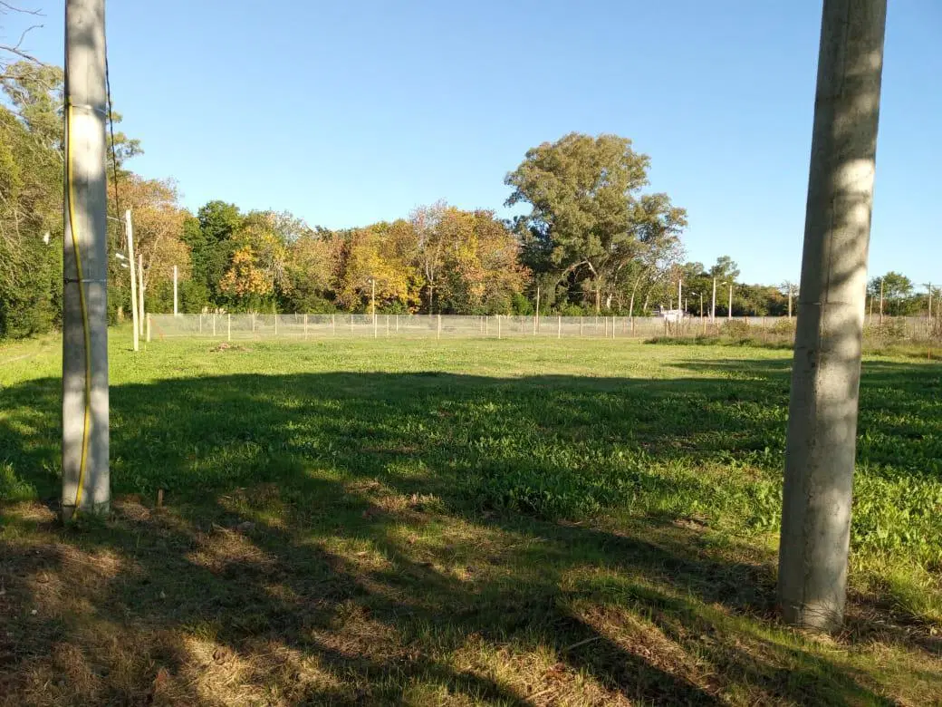 Terreno en venta - 13.63 x 33.73mts - 432 mts2 - Arturo Seguí 2