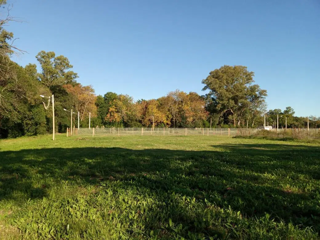 Terreno en venta - 13.63 x 33.73mts - 432 mts2 - Arturo Seguí 5