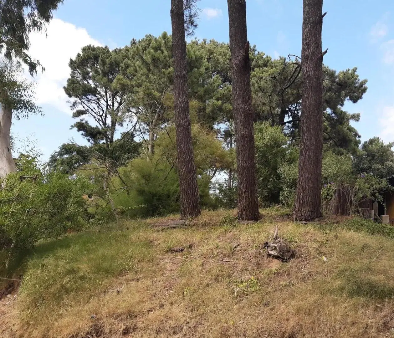 Terreno en venta - 584Mts2 - Ostende 2
