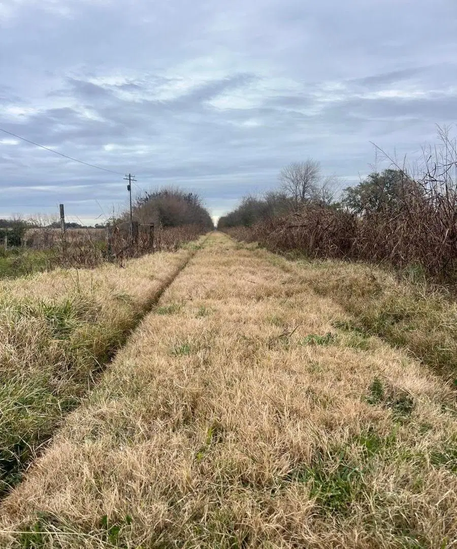 Campo en venta - 260.328Mts2 - Lobos 5