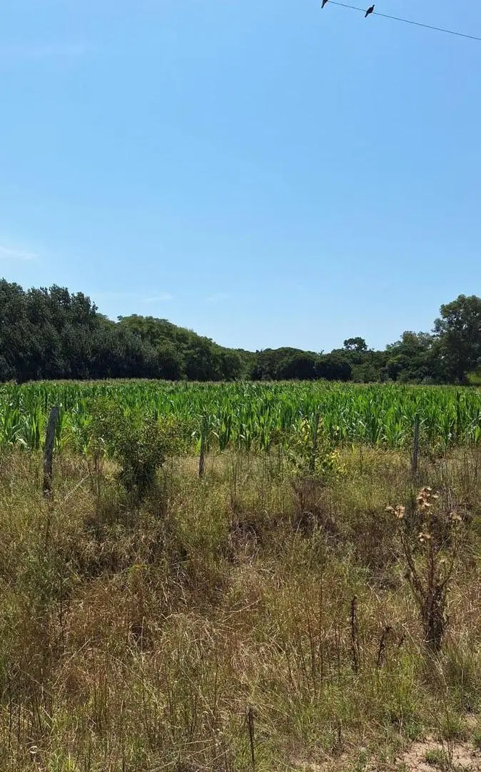 Campo en venta - 260.328Mts2 - Lobos 1