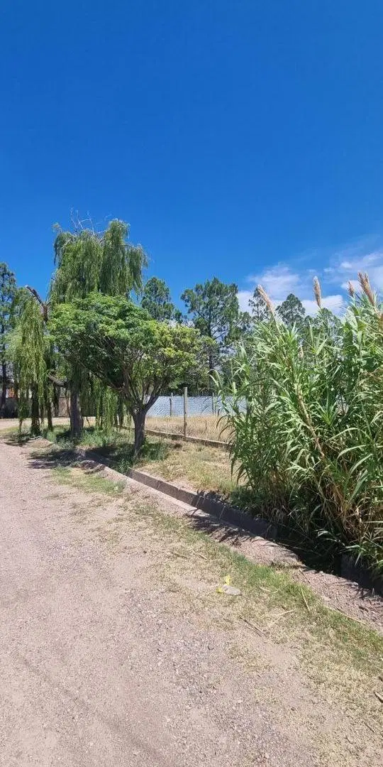 Terreno en venta - 500Mts2 - Luján de Cuyo 4
