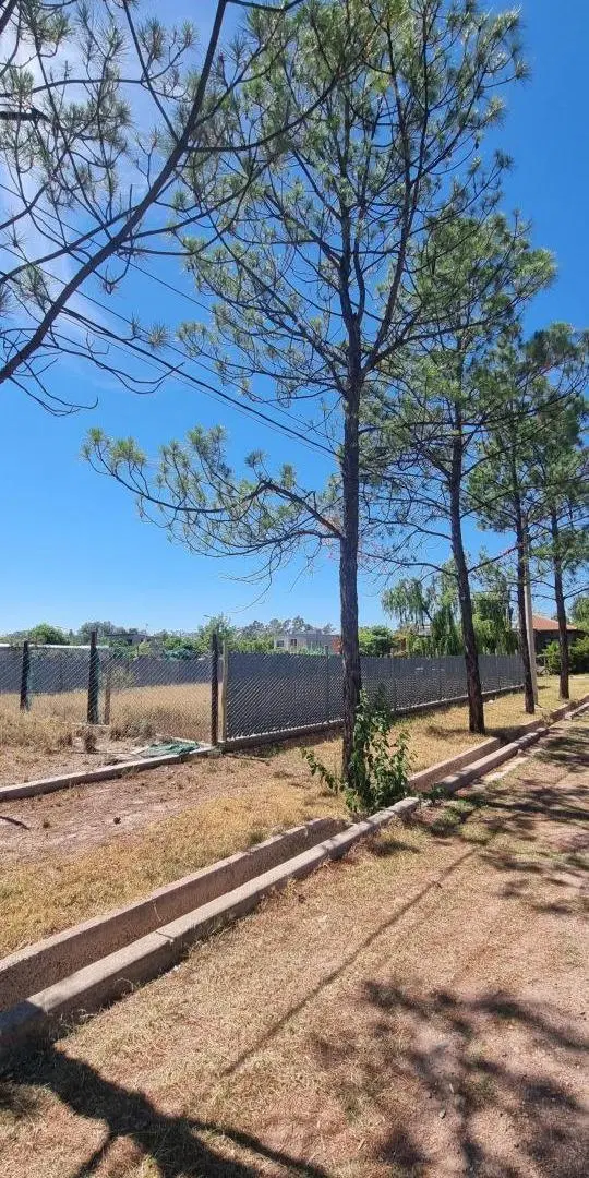 Terreno en venta - 500Mts2 - Luján de Cuyo 3