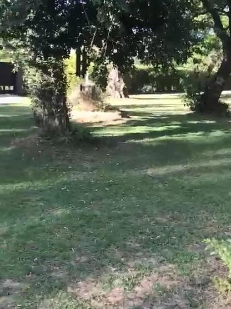 Terreno en venta - 2.185Mts2 - El Remanso, Exaltación de La Cruz 3
