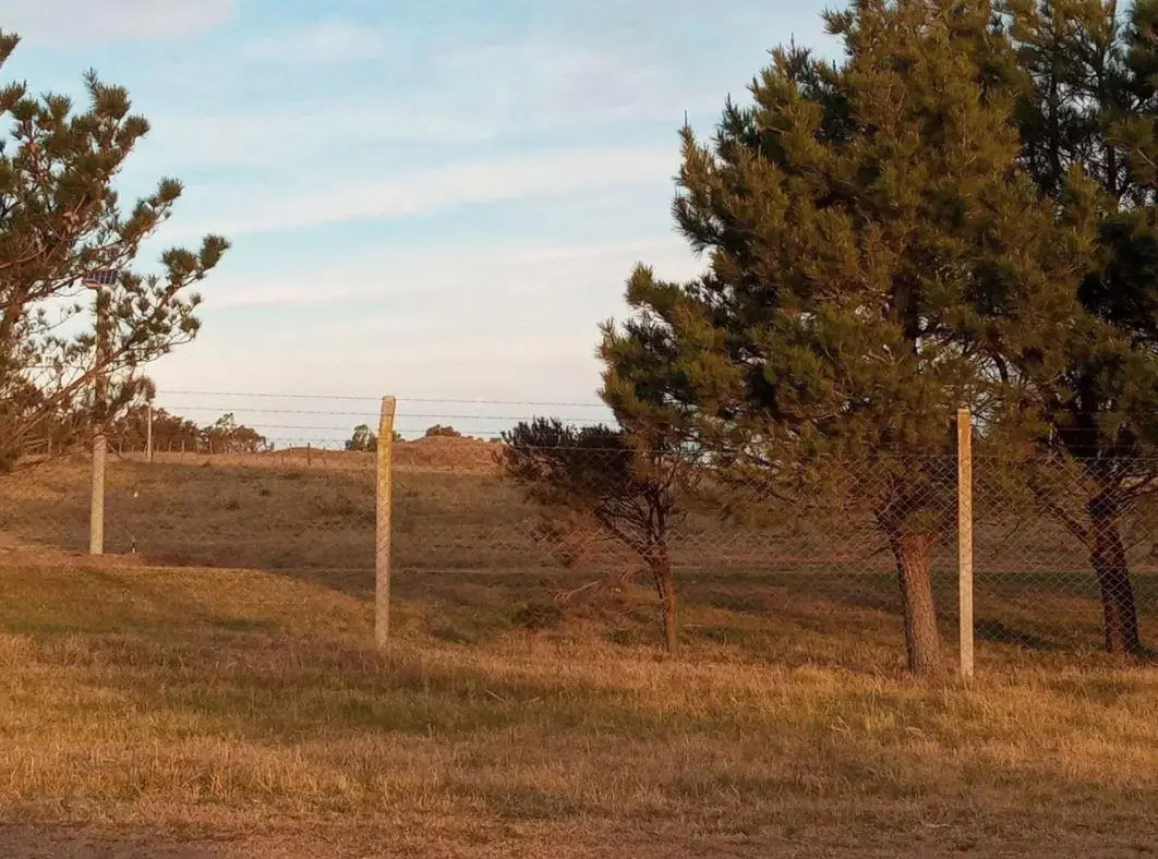 Terreno venta - 1101mts2 totales - Necochea 4