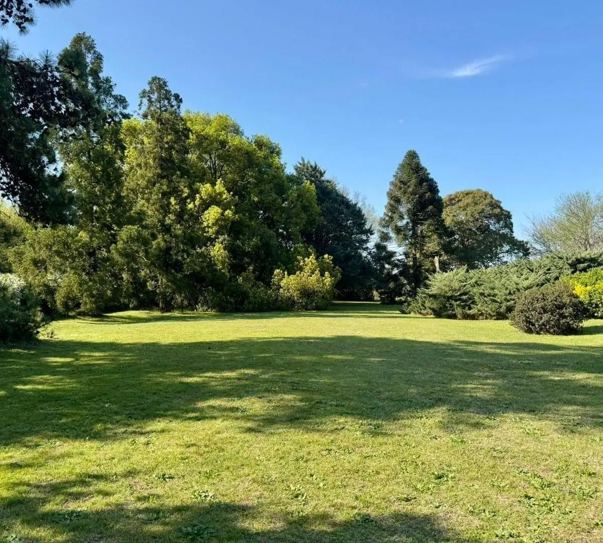 Casa en venta - 3 Dormitorios 2 Baños - Chivilcoy 4