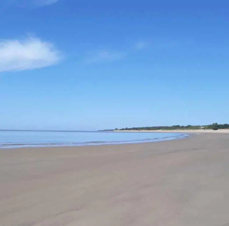 Terreno en venta - 1 Hectárea - Matamora, Uruguay 3