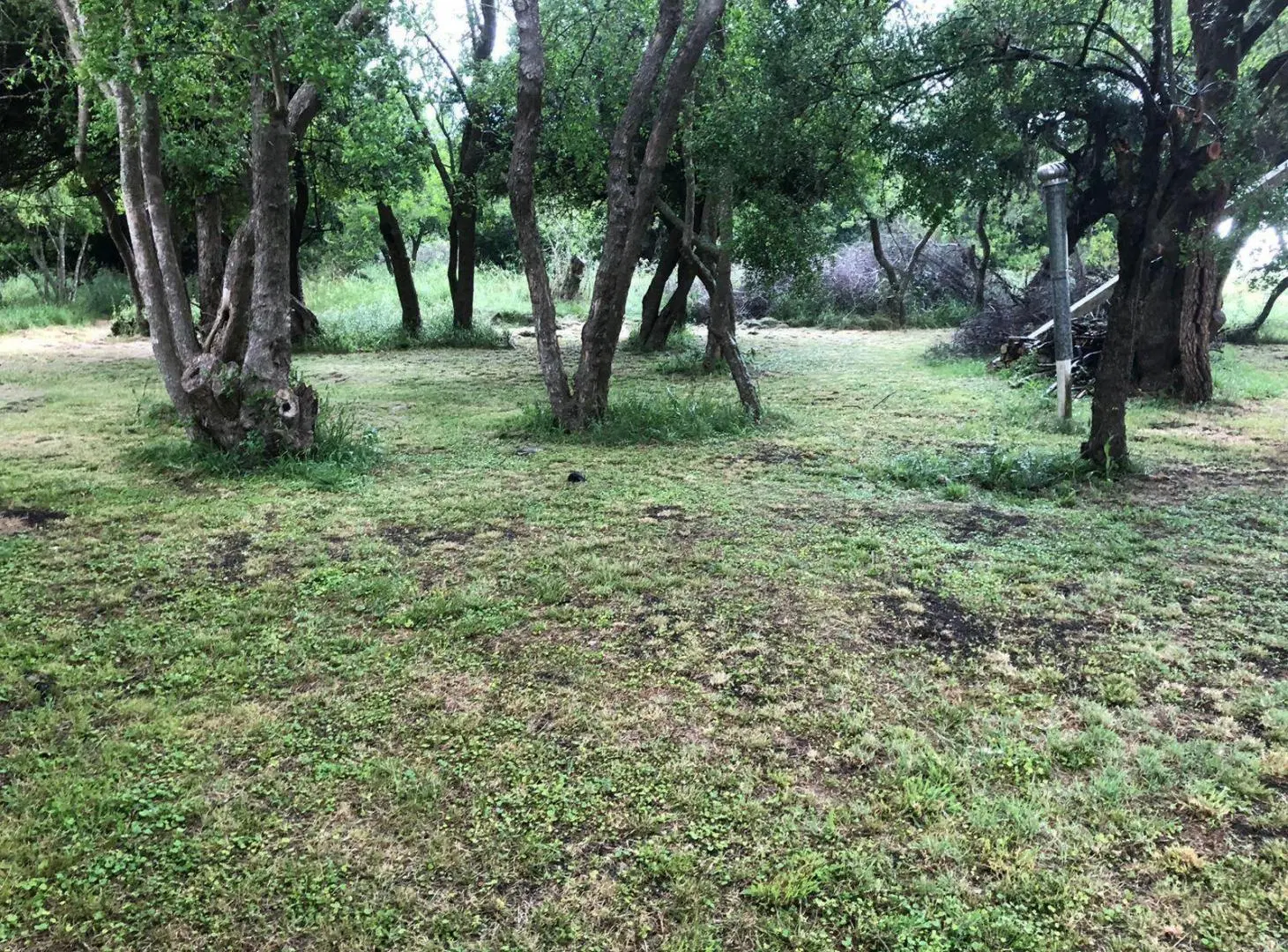 Chacra en venta - 16.100Mts2 - Pinamar 4