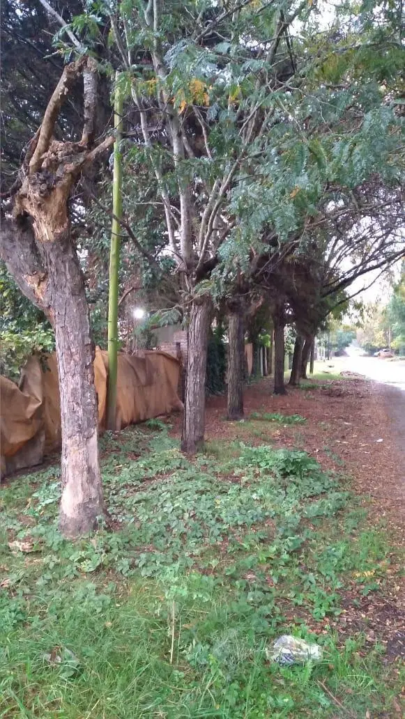 Terreno en venta - 961Mts2 - City Bell, La Plata 4