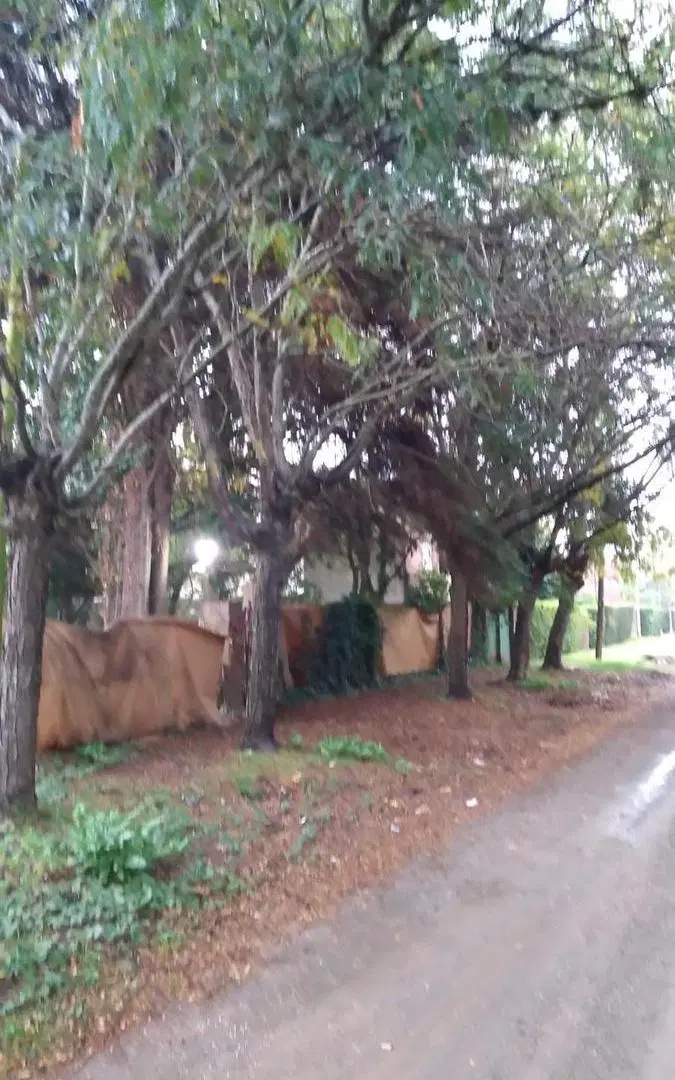 Terreno en venta - 961Mts2 - City Bell, La Plata 1