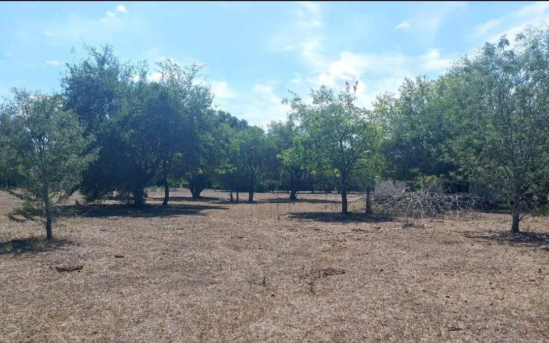 Campo en venta - 23.473Mts2 - Abasto, La Plata 4