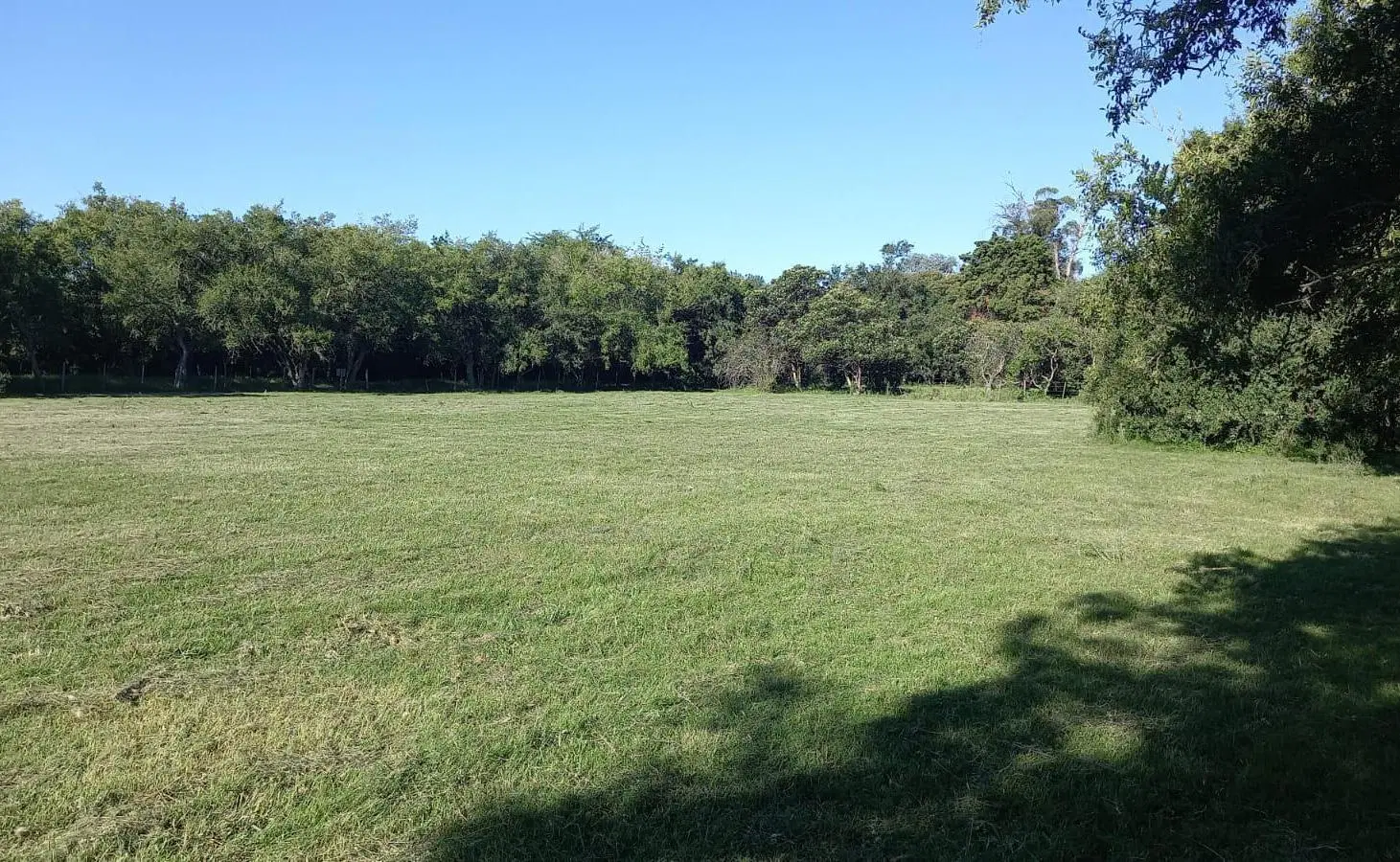 Campo en venta - 23.473Mts2 - Abasto, La Plata 2
