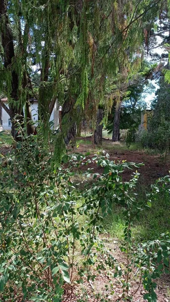 Terreno en venta - 475Mts2 - Mar Azul 4