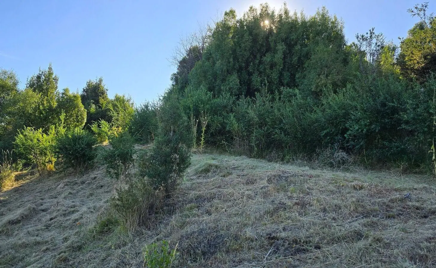Terreno en venta - 1433Mts2 - Esquel 5