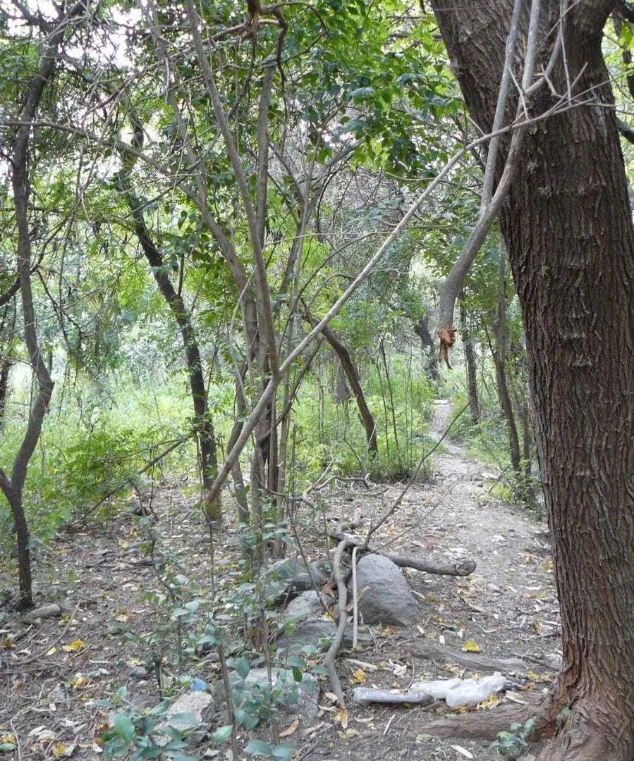 Terreno en venta - 1509.30Mts2 - Merlo 5