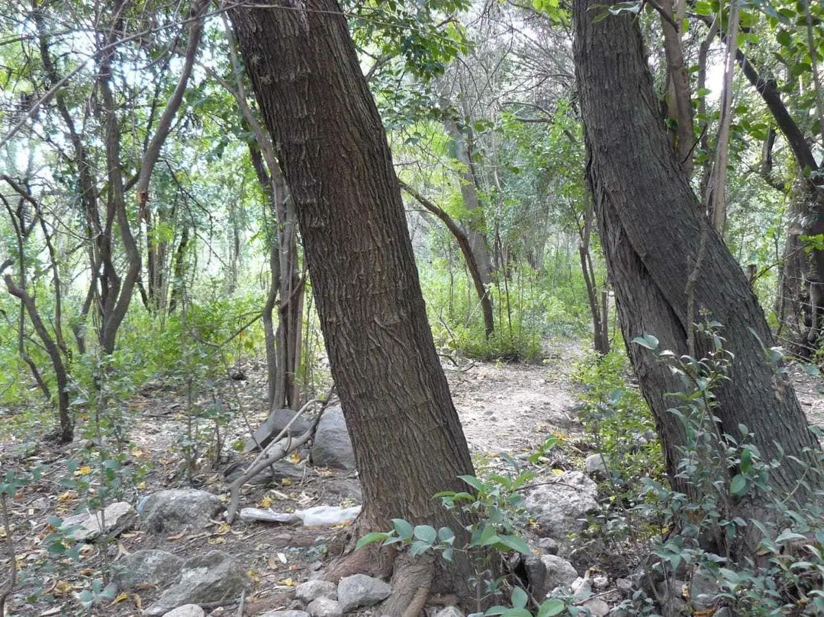 Terreno en venta - 1509.30Mts2 - Merlo 4
