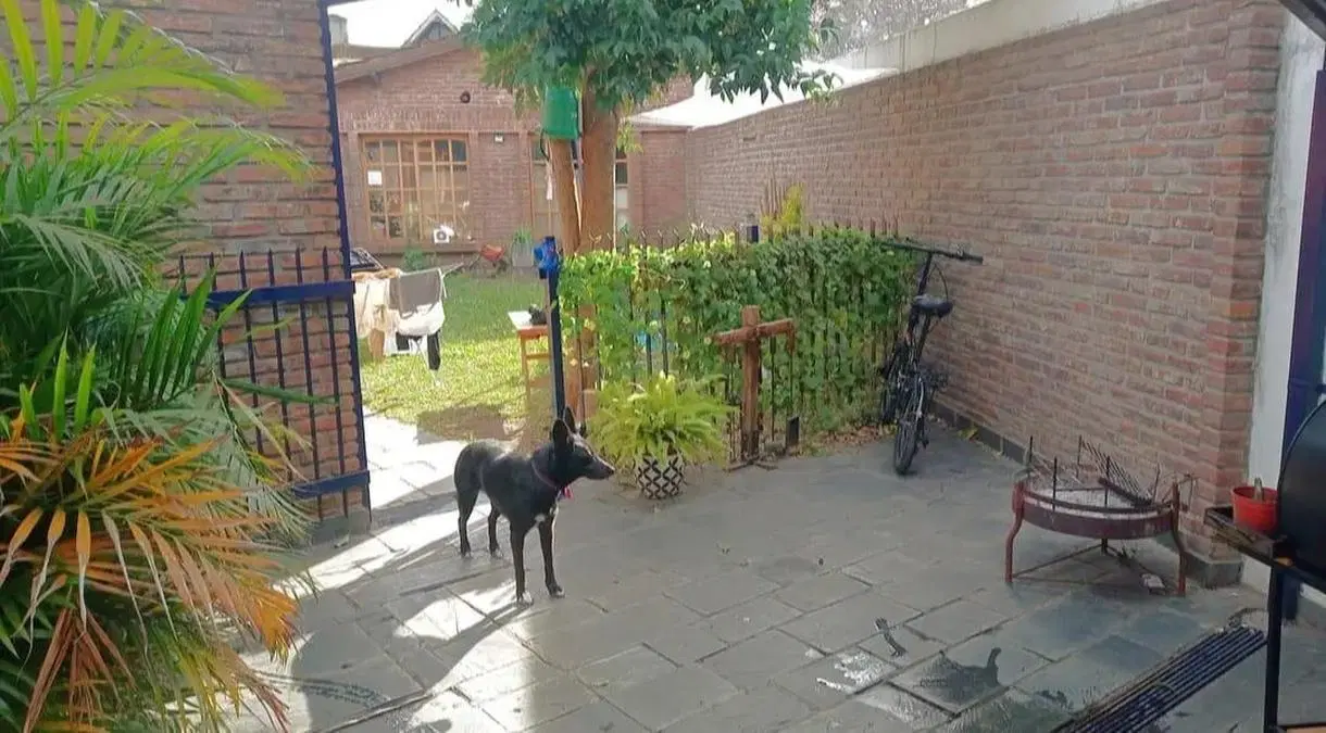Casa en venta - 3 Dormitorios 2 Baños - Cochera - 400Mts2 - Haedo 3
