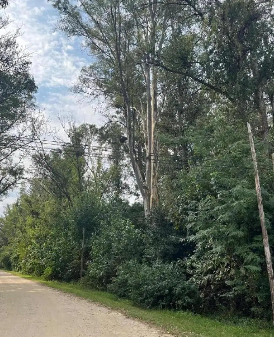 Terreno en venta - 1.200Mts2 - Santa Ana 4