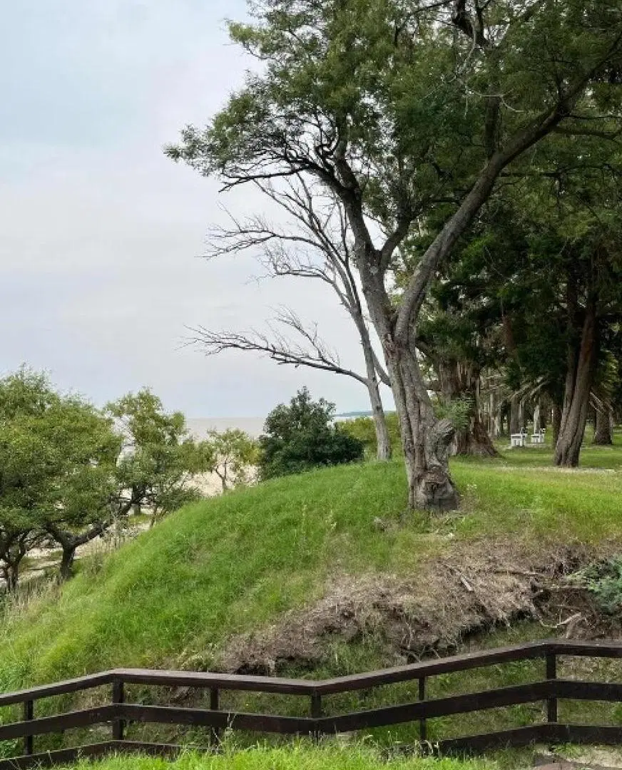 Terreno en venta - 1.200Mts2 - Santa Ana 2