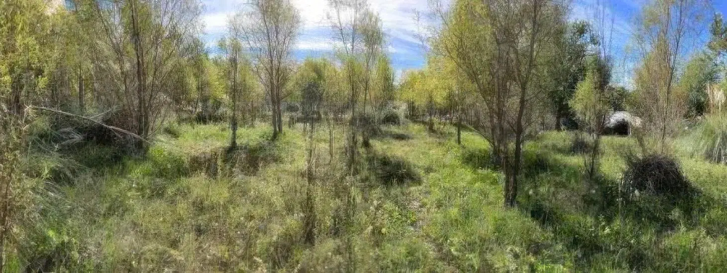 Terreno en venta - 1.000mts2 - San Bernardo Del Tuyú 4
