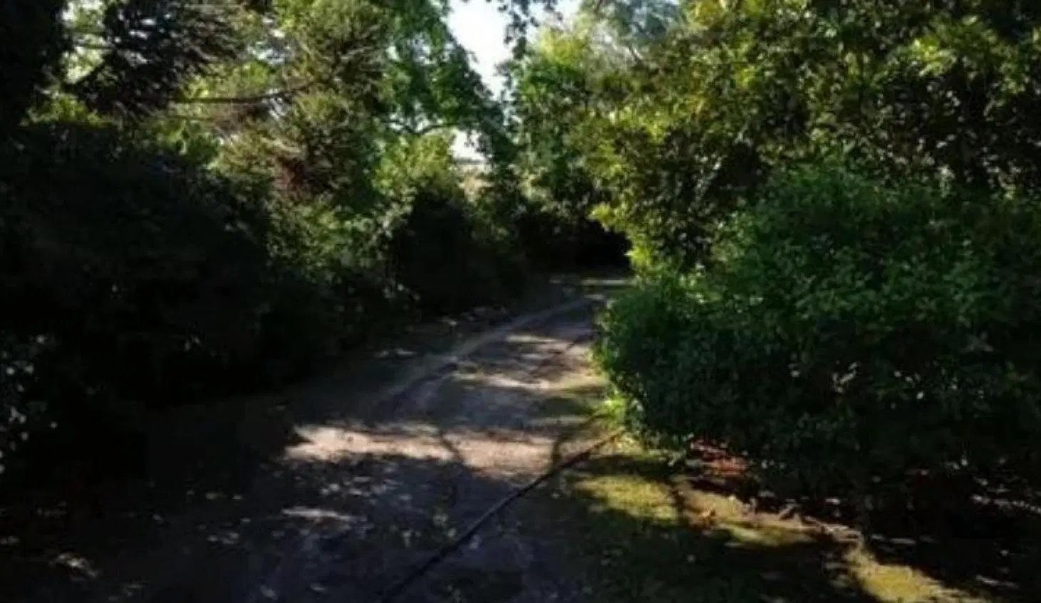Chacra en venta - 7 Dormitorios 3 Baños - Cochera - 80.000Mts2 - Magdalena 3