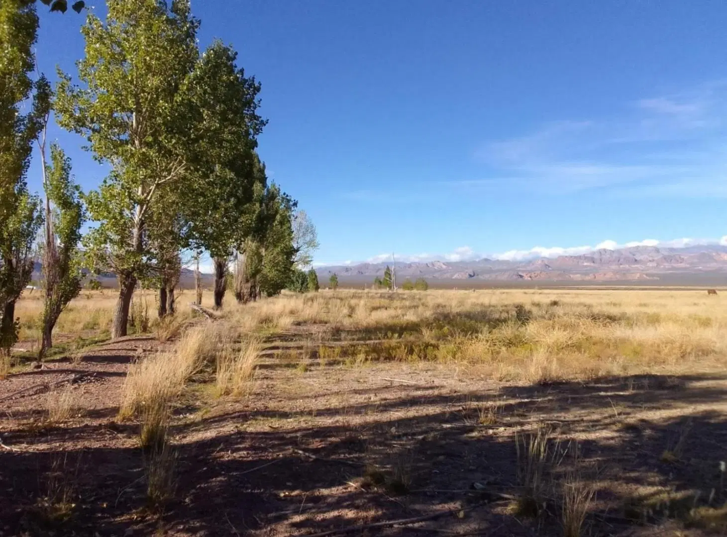 Campo en venta - 13 Hectáreas - Mendoza 2