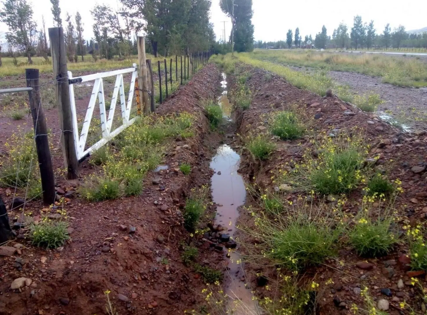 Campo en venta - 13 Hectáreas - Mendoza 3