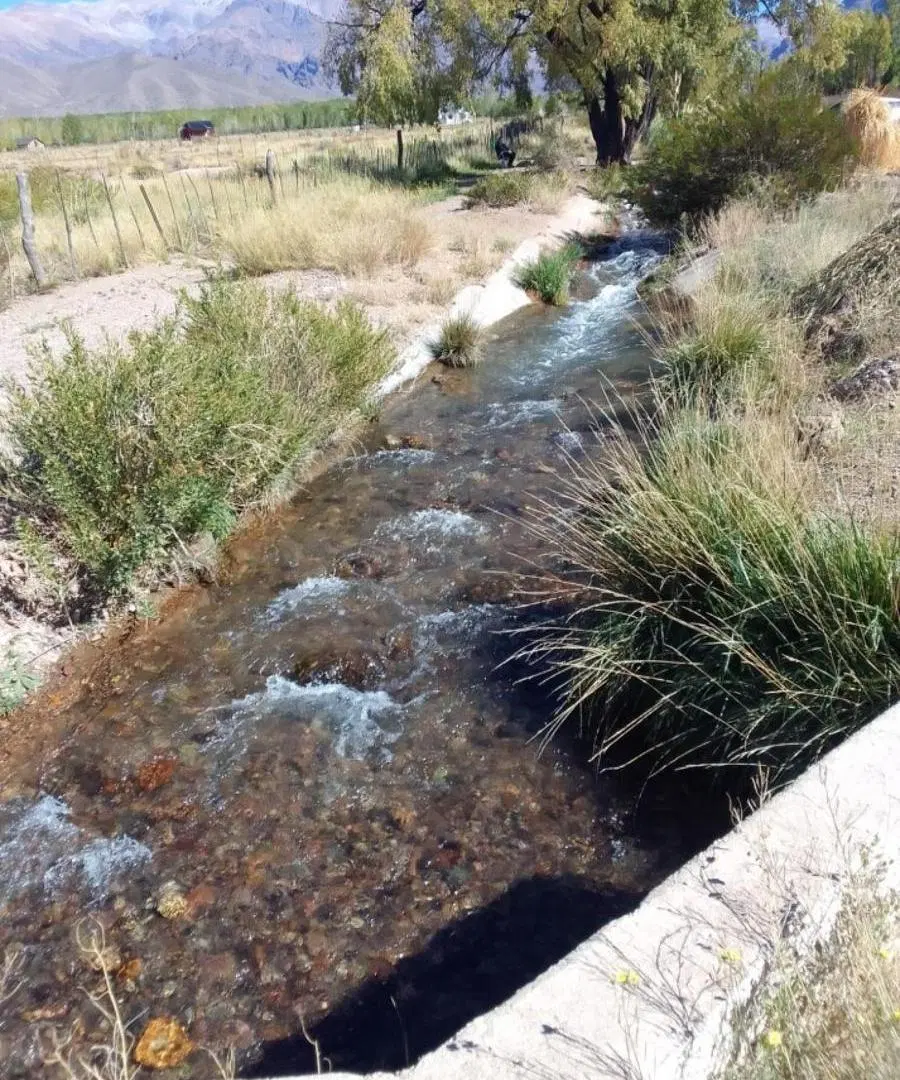 Campo en venta - 13 Hectáreas - Mendoza 5