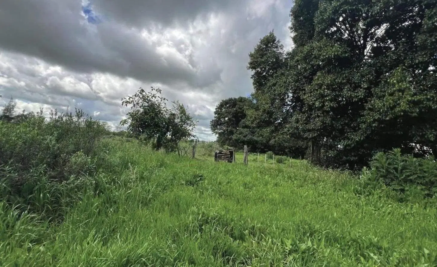 Campo en venta - 10.000Mts2 - Mercedes 3