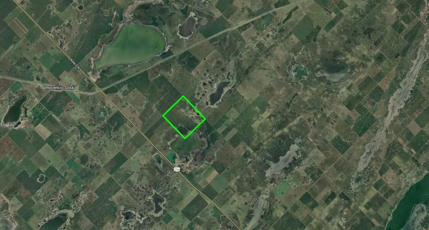 Campo en Pehuajo 5