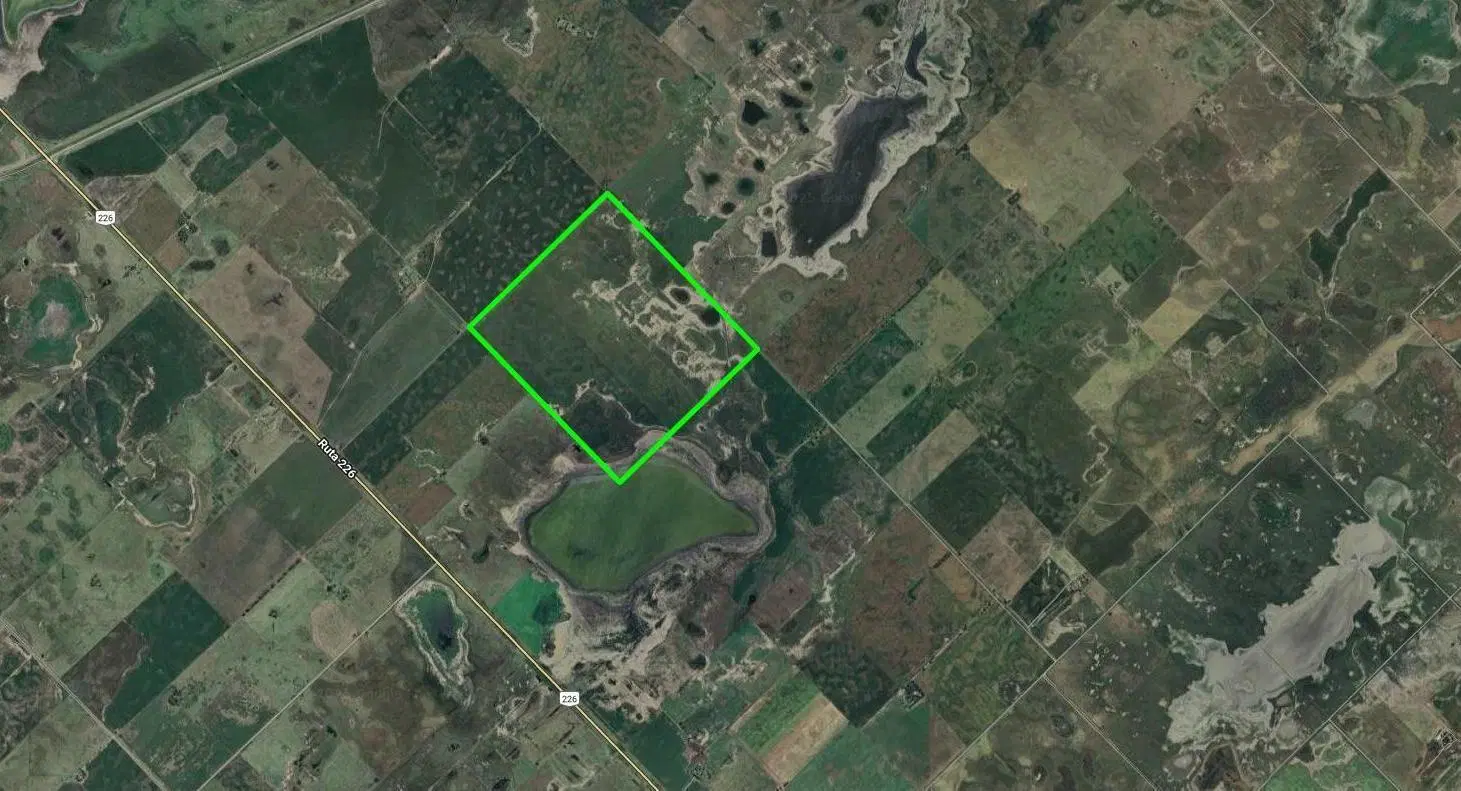 Campo en Pehuajo 3