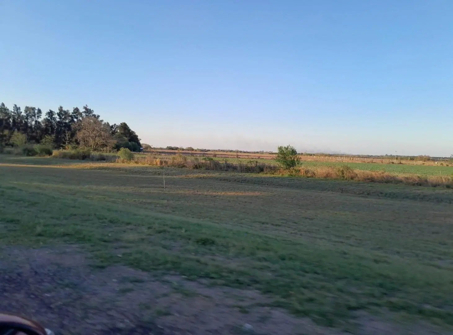 Terreno en venta - 4 Hectareas - General Obligado 5
