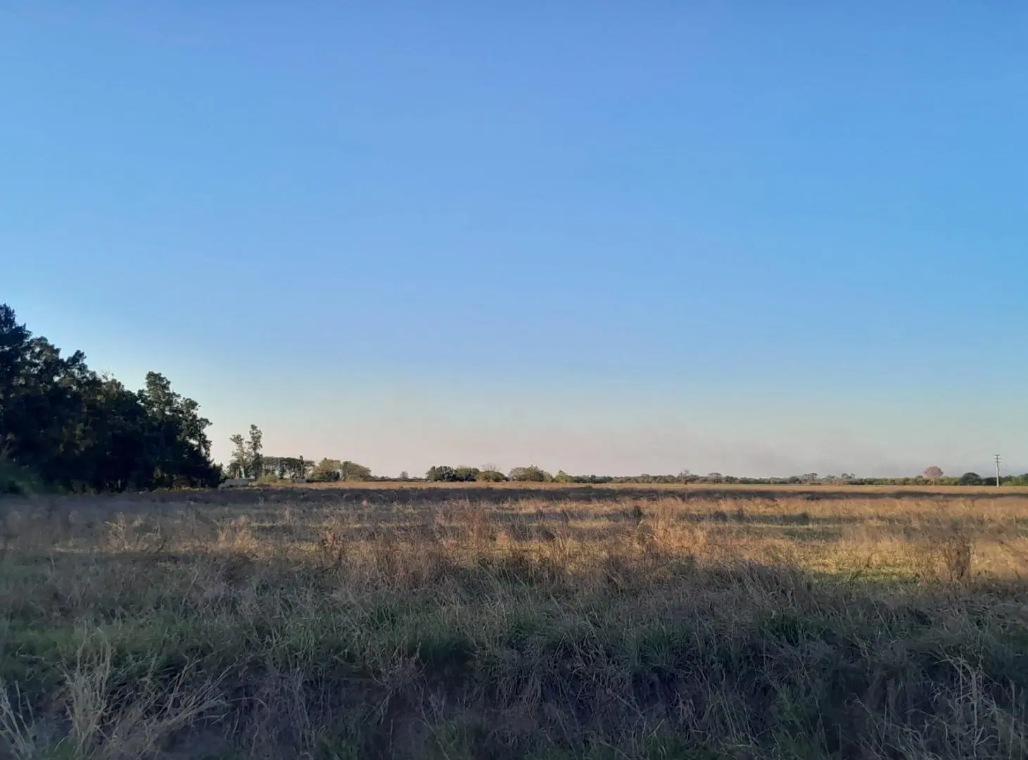 Terreno en venta - 4 Hectareas - General Obligado 1