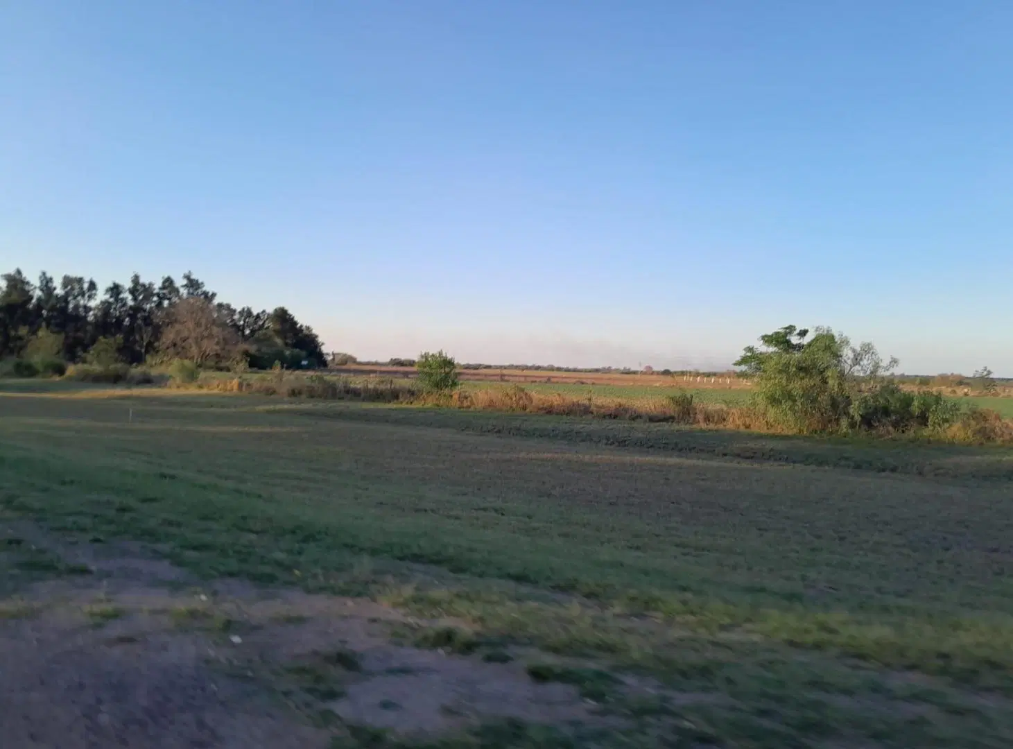 Terreno en venta - 4 Hectareas - General Obligado 8