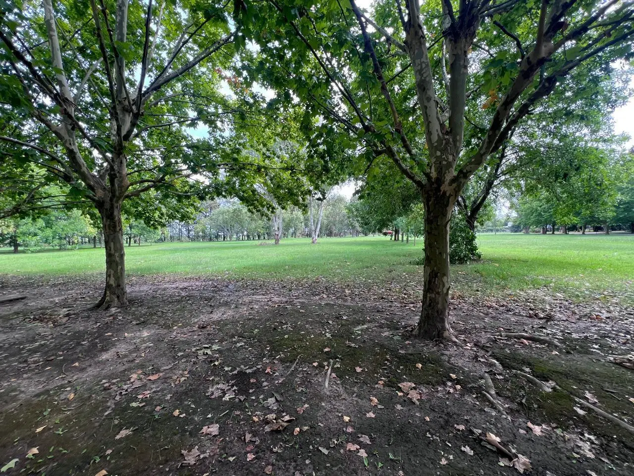 Terreno en venta - 1.663mts2 totales - Haras Del Sur I 4