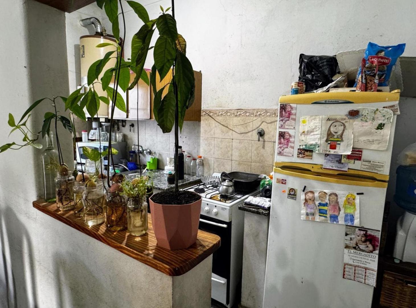 Foto de Casa en venta - 2 Dormitorios 1 Baño - Saladillo, imagen 3