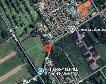 Casa en venta - 4 Dormitorios 2 Baños - Loma Verde 3