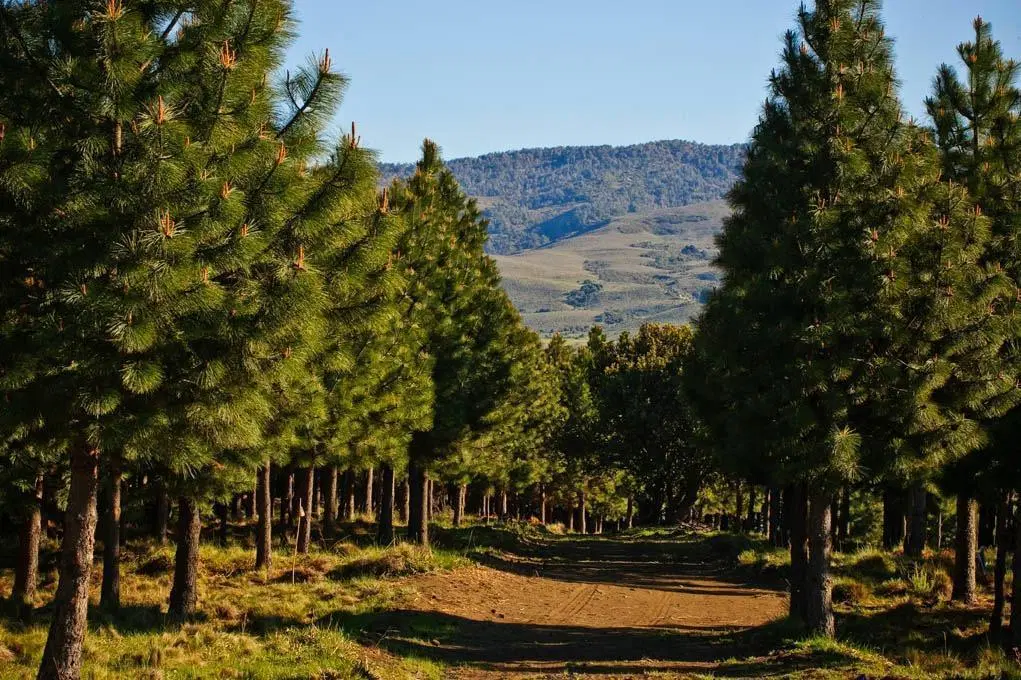 Terreno en venta - 1.300Mts2 - Lago Huechulafquen, Neuquén 5